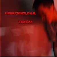 Unerchinyldam - Single - TokeZz