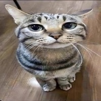 Starstruck (feat. Shudipon) - Single - Trxsh.Sock