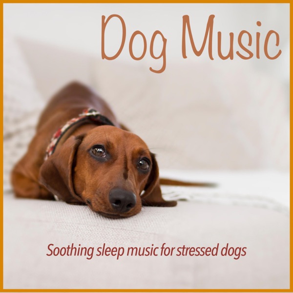 Dog Music: Soothing Sleep Music for Stressed Dogs