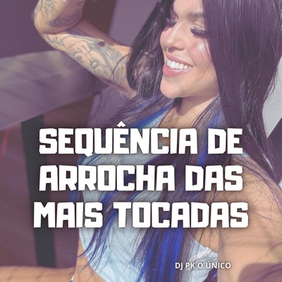 DJ PK O Único - Sequência de Arrocha das Mais Tocadas
