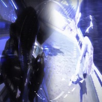 circles - Single - Ksiaze & 5v