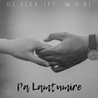 Pa Lamtumire (feat. M.O.B) - Single - Dj Flex