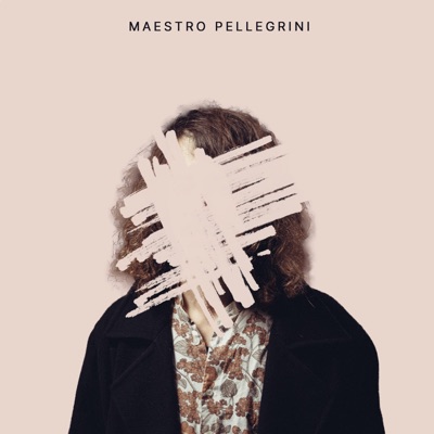 Chi sono io - Maestro Pellegrini