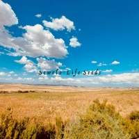 Life Seeds - Single - Sewelo