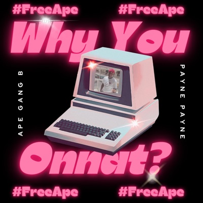 Why You On That (feat. Ape Gang B) - Single