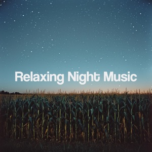 Relaxing Night Music