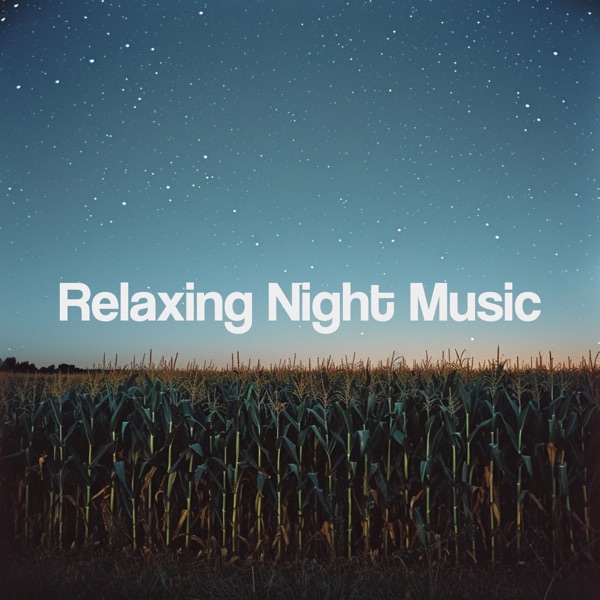 Relaxing Night Music