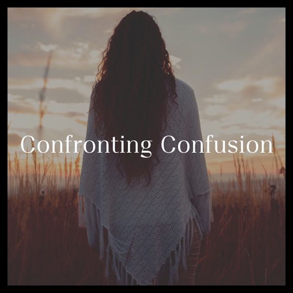 Confronting Confusion