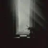 Daylight
