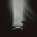 Daylight