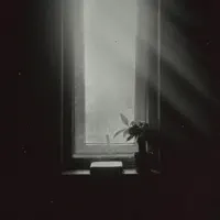 Daylight