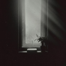 Daylight Thymes