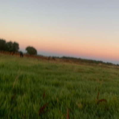 Give Me a Sign - Single