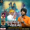 Nanubapu Ni Yaadma - Single