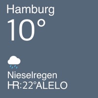 Nieselregen - Single - ALELO