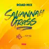 Stream & download Savannah Grass (N.M.G. Music Road Mix) - Single