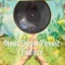 Hang in Balance - Hang Drum Doctor lyrics