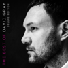 The Best of David Gray (Deluxe Edition) - David Gray