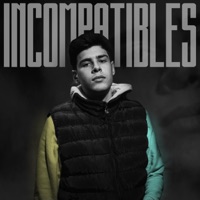 Incompatibles - Single - Poleg
