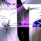 Sof - purity lyrics