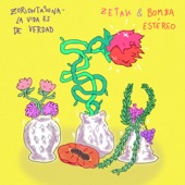 Zoriontasuna (La vida es de verdad) artwork