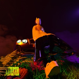 Powerluv (feat. WHYLUV) MALVOICE