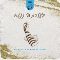 B'ezrat Hashem Nenatseach (feat. Ari Goldwag) - Single - Zevi Kaufman