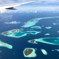 Catch a Vibe - Single - BoGleesh