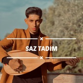 Saz Tadim artwork
