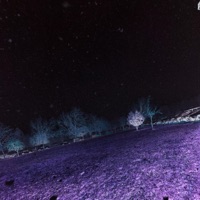 Winter - Single - 88STRAIT