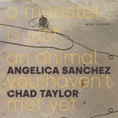 Angelica Sanchez & Chad Taylor - Liminal