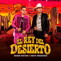 El Rey Del Desierto - Single - Enigma Norteño & Grupo Arriesgado
