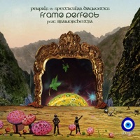 Frame Perfect (feat. Brainorchestra) - Single - PENPALS & Spectacular Diagnostics