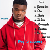 Way To Success Ep - Pcode