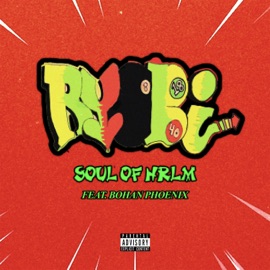 Ryobi (feat. Bohan Phoenix) Soul of Hrlm
