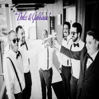 Dolce & Gabbana - Single - SCOTT1E-D