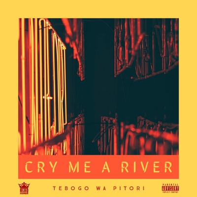Cry Me a River - Single
