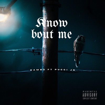 Know Bout Me (feat. Pucci Jr) - Single