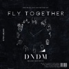 Fly Together - Single
