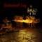 Blood Lake - Galvanized Leg lyrics