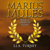 Marius' Mules XII: Sands of Egypt : Book 12(Marius' Mules) - S. J. A. Turney