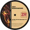 Joey Montenegro & Dave Lee - Do What You Feel (Birdee Remix)