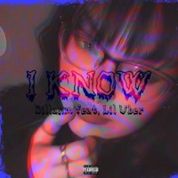I KNOW (feat. Lil Uber) - Single - Dillanm