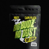 Big Budz No Dust artwork