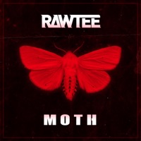 Moth - Single - Rawtee
