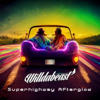 Superhighway Afterglow - Willdabeast