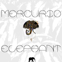 Elephant - Single - Mercurio