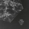 Juggling Wolves - Nite Kite lyrics