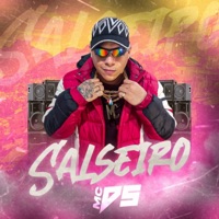 Salseiro - Single - MC DS