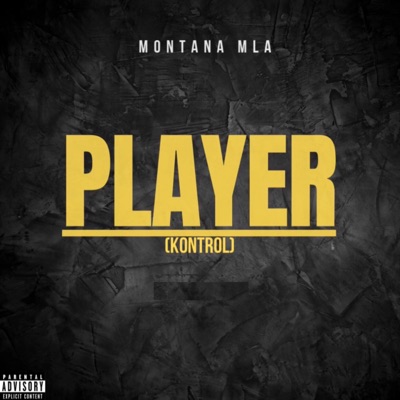 Player (Kontrol) - Single